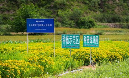 zoty��ŷ��(�й����޹�˾)�ٷ���վ