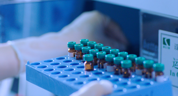 zoty��ŷ��(�й����޹�˾)�ٷ���վ