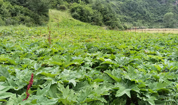 zoty��ŷ��(�й����޹�˾)�ٷ���վ