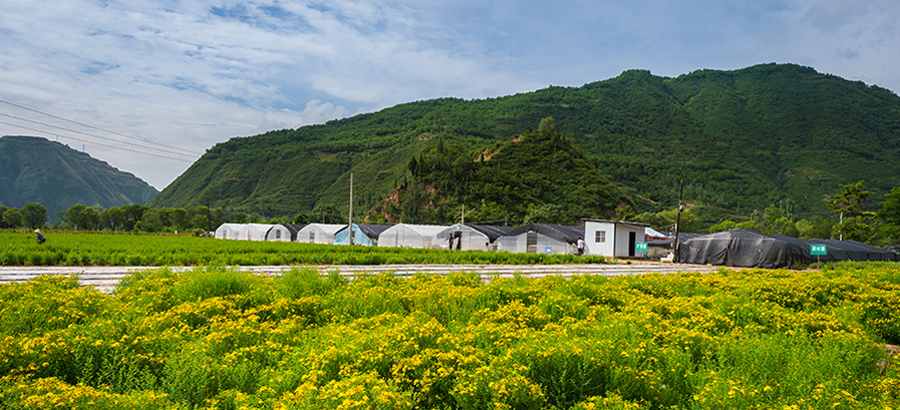 zoty��ŷ��(�й����޹�˾)�ٷ���վ